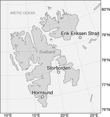 Aggregate Feeding by the Copepods Calanus and Pseudocalanus Controls Carbon Flux Attenuation in the Arctic Shelf Sea During the Productive Period